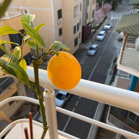 Nora Apartments Dıraç Dış mekan fotoğraf